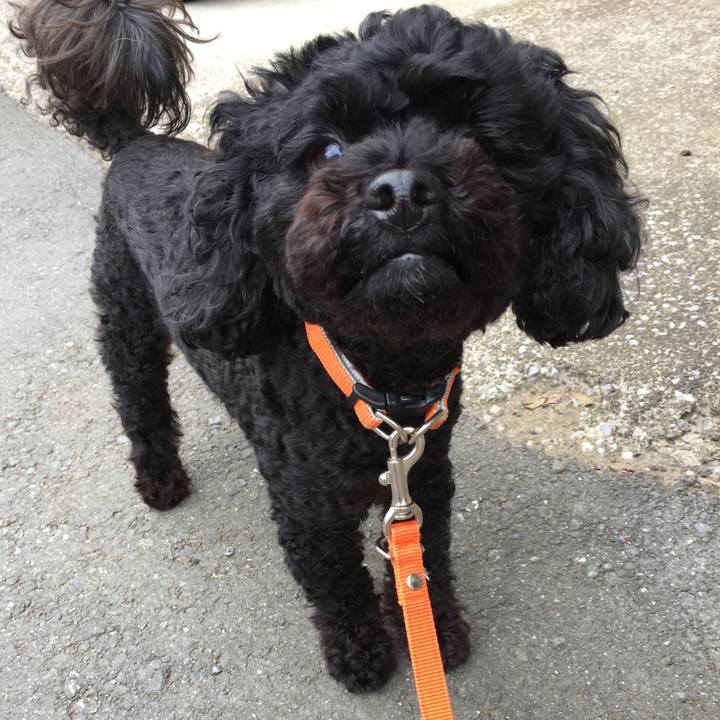 8a25bd8a 483c 4206 8d9e 03928ff83612 1527484433240