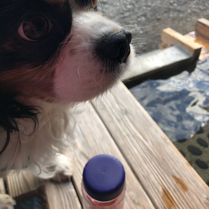 8a25d1d4 bda0 45b5 8d41 52f7d8a28177 1553412495158