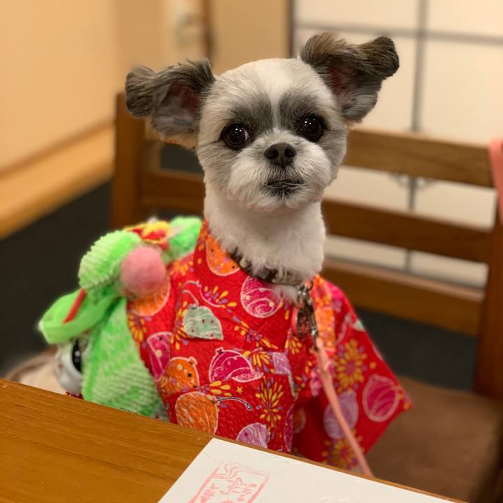 8a26731a ddd9 4c5a a323 08c7d521c535 1564147995068