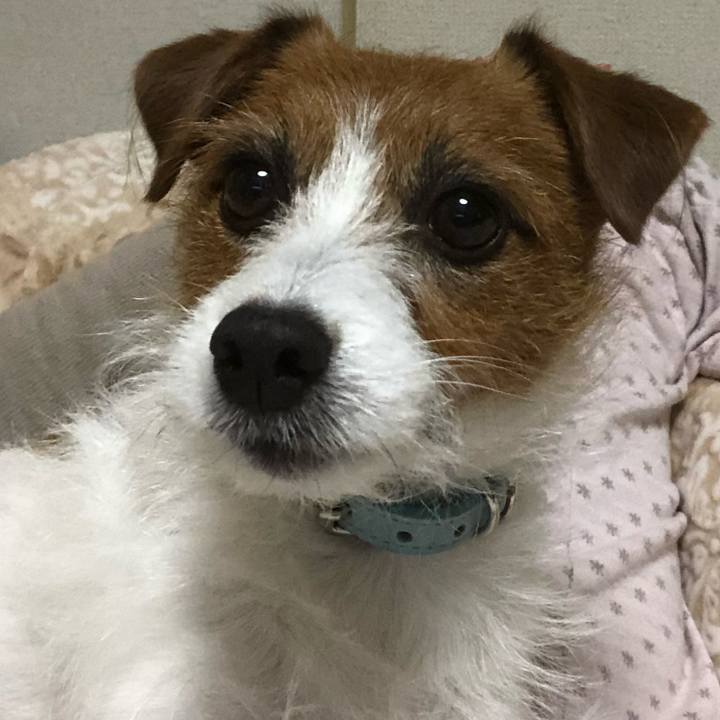 8a26838d 7c97 42bb bb38 970091aa49e0 1547988183307