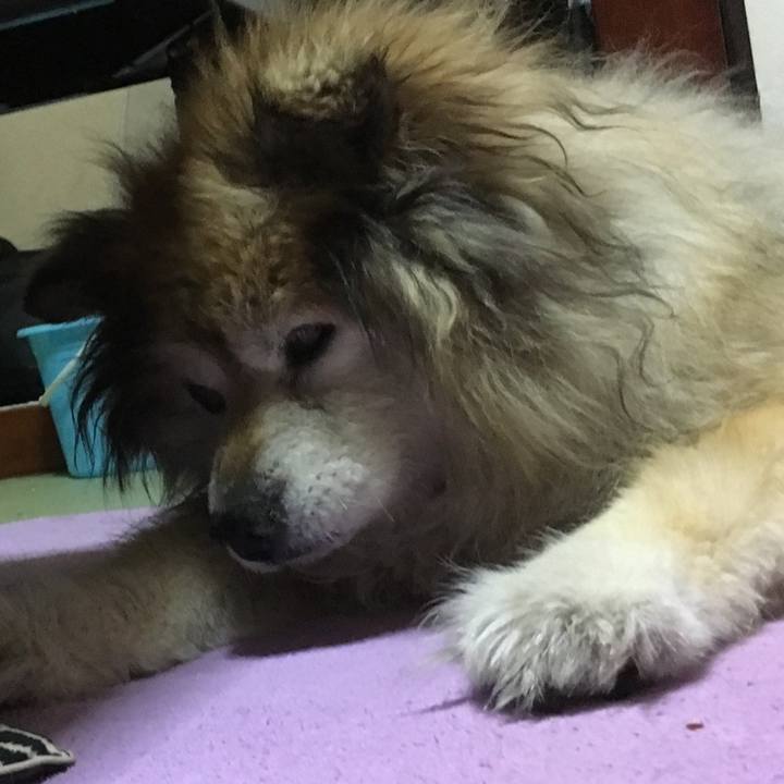 8a269921 6a7c 43d0 809c 3f2107e7a59d 1618718864738