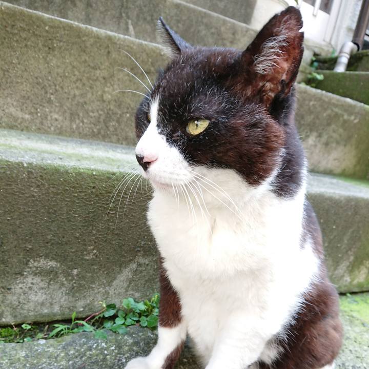 8a26a1a9 afe8 40ba bae7 8b80e9614fb5 1688277881991