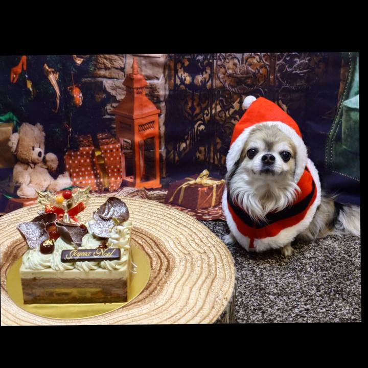 8a26af49 f849 436a 853f 654a9f38e676 1766584296301