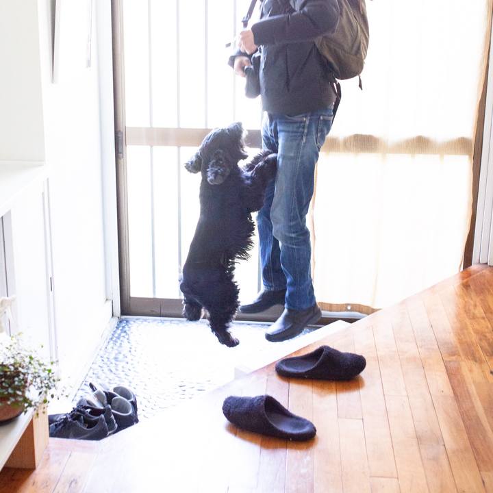 8a26cef0 3c2c 43e1 bb0e e1a33edf0973 1551022783549