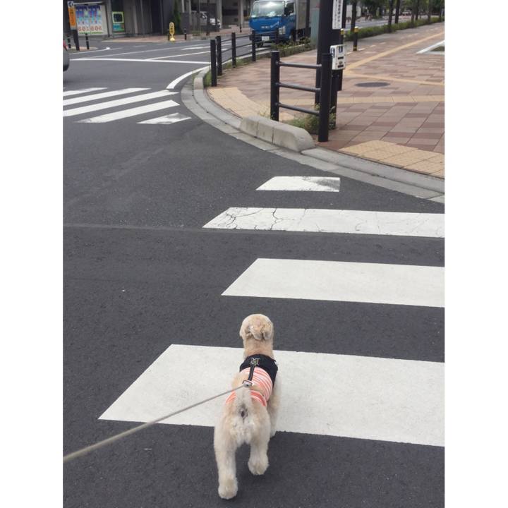 8a2746a1 6a10 49f7 ba57 b488d31b2c95 1536496321745