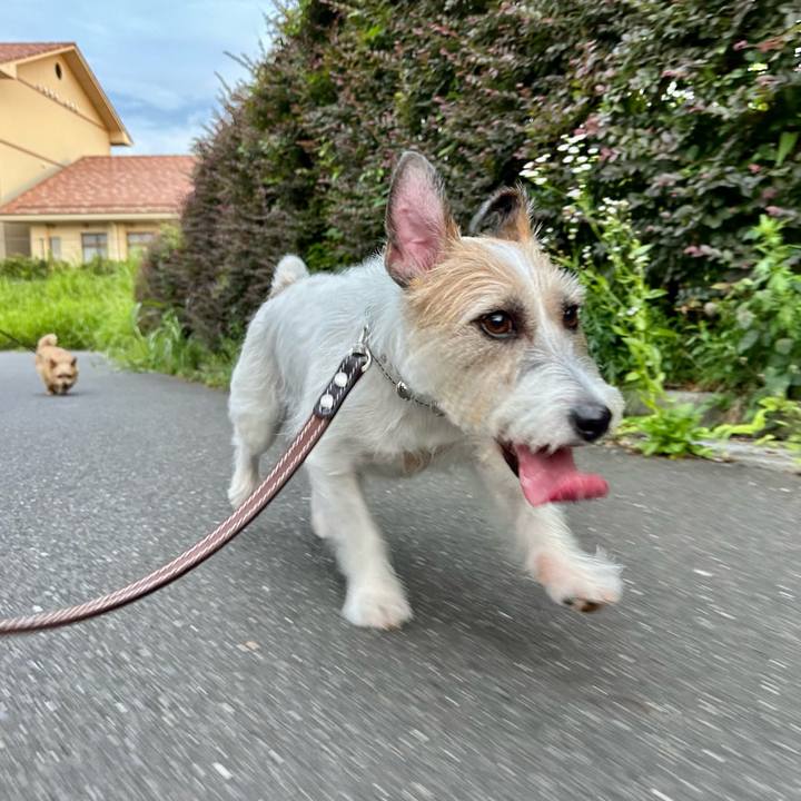 8a275348 2a95 4ade 8620 61d117bb7f22 1752697710365