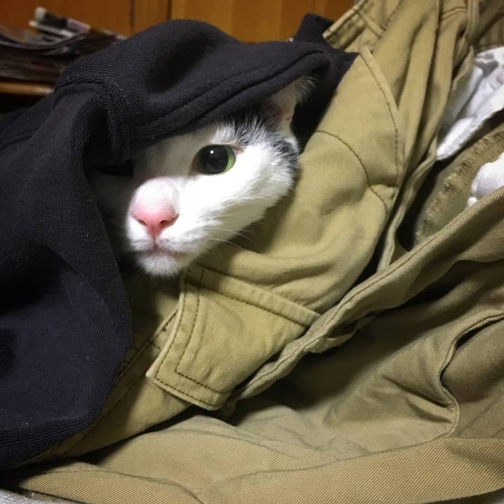 8a27758d d6c1 4295 98f7 0e85bb884edc 1544370042903