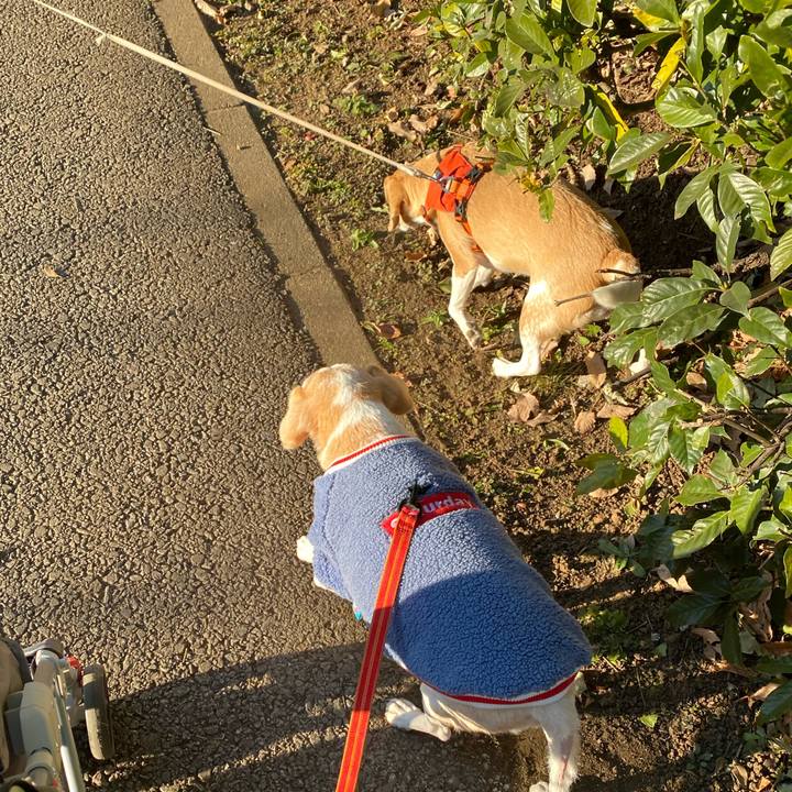 8a27b587 1cad 4ca0 a229 210f98126c17 1608879680363