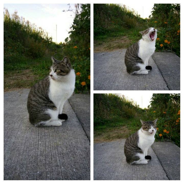 8a27d9d5 058f 4257 bbe0 53a399631014 1510560576444