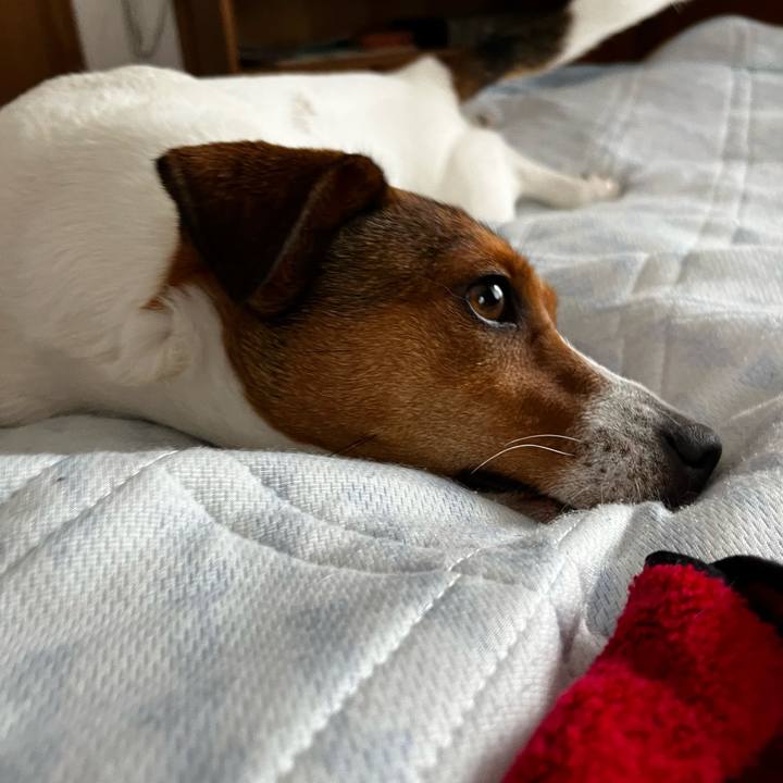 8a27e285 b720 4801 b7bd d3fbd2c09da6 1750377615413