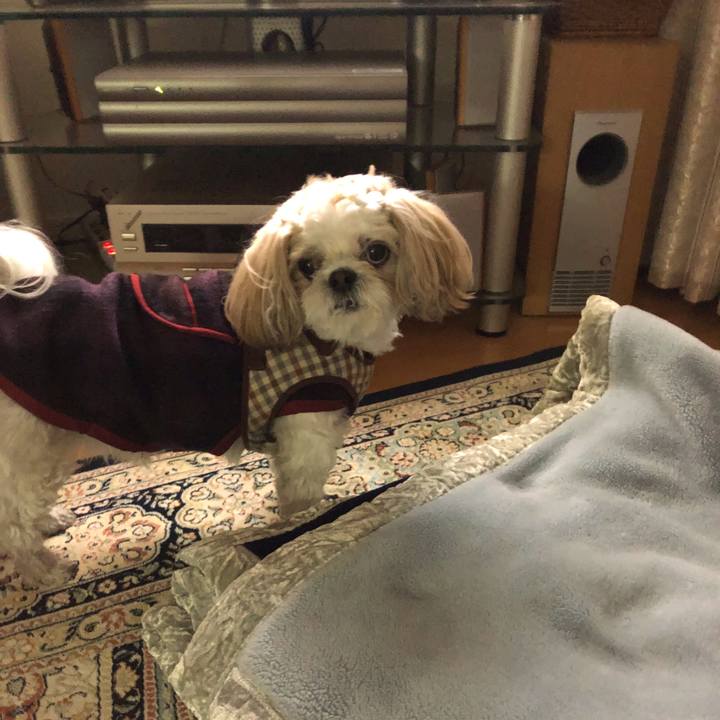 8a27e545 5949 4cfc bbdc 5f1c3248227a 1545428991025