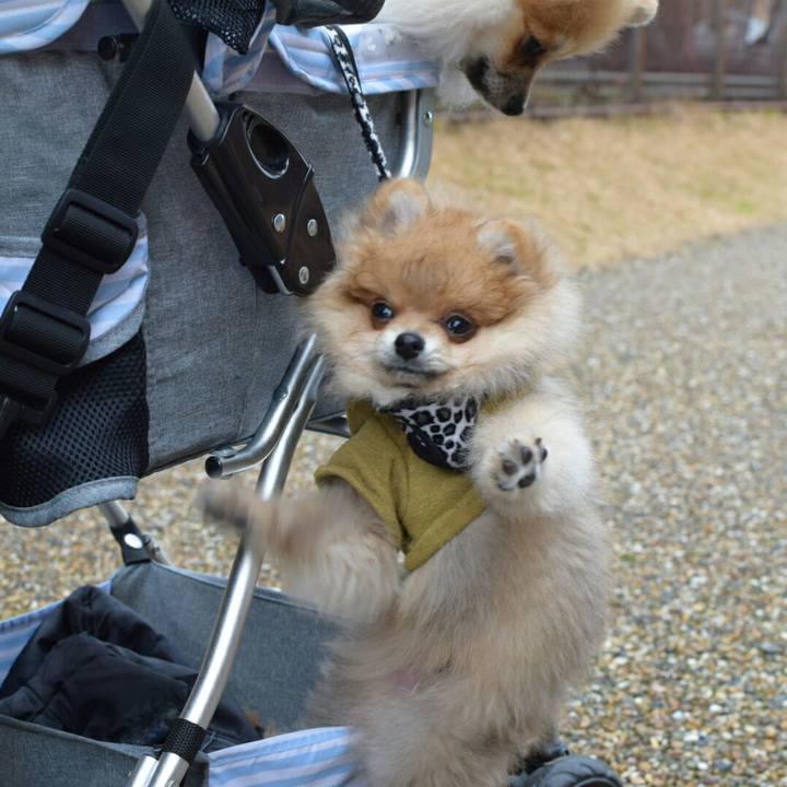 8a28071e 23ca 45c6 9530 9fd48cb7f21c 1515929266665