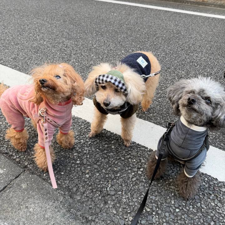 8a282765 3bf1 4a78 a110 d42c61eedc70 1767828632449