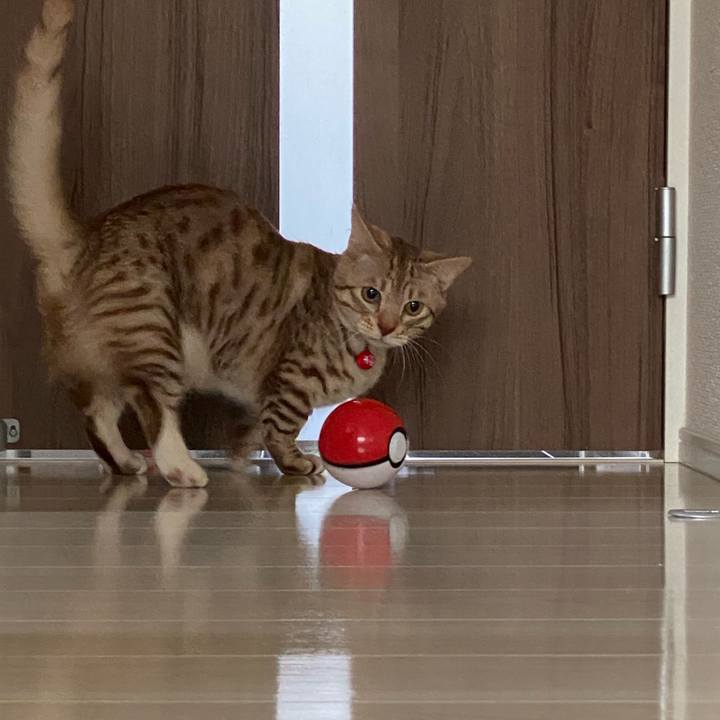 8a289469 3242 4391 8b73 b9eec52cabc5 1646700545176