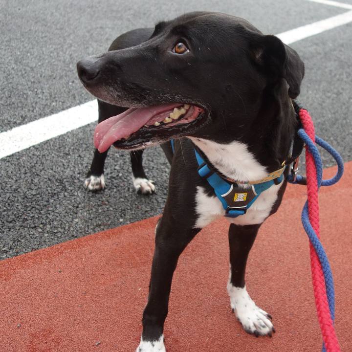 8a289fc9 63c2 4a09 9e33 05c63bc6e9c5 1626309355706