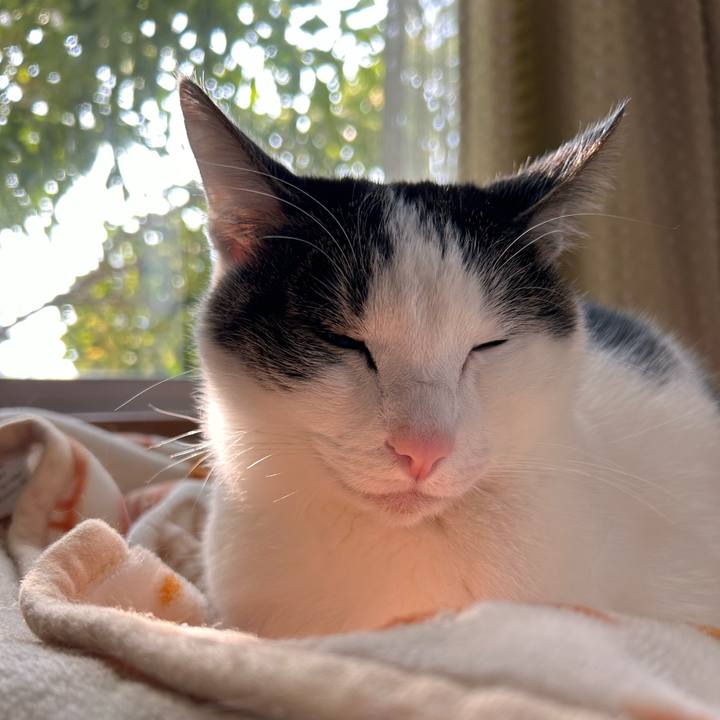 8a28a766 1867 44d3 b149 00536e5778fc 1736914307277