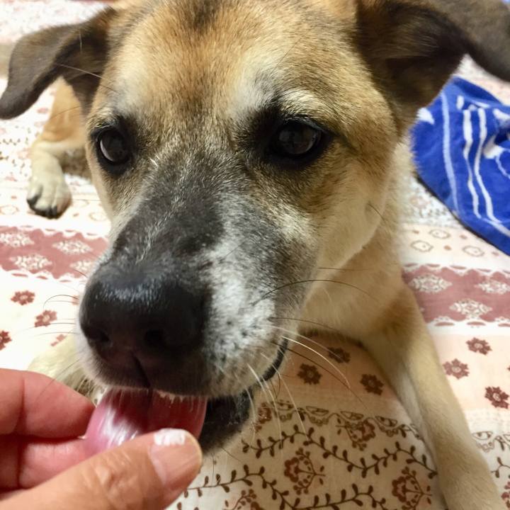 8a28a901 bd83 4173 b40e cfb3c7f9d127 1532427898584