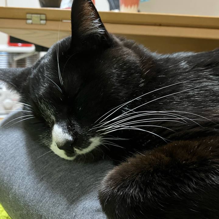 8a28bede 2314 4001 9d8f 1ca6739f7d4d 1771385609914