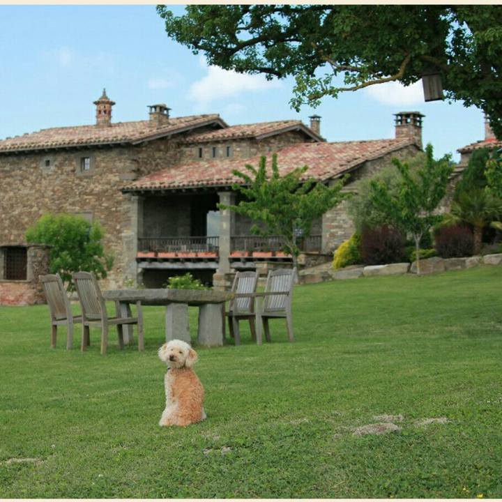 8a28de38 9d17 4c5a bbbb b3965b3e2453 1560959759245