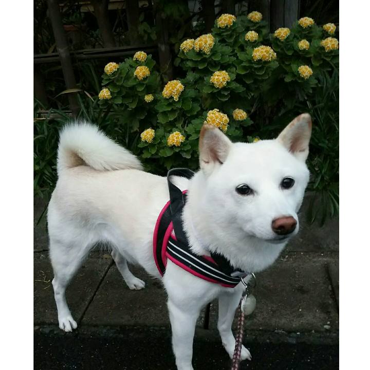 8a28e40c 10d7 43b8 892d 4b62dffc46c7 1541494982405