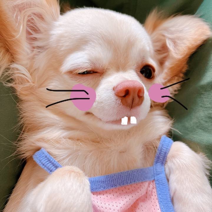 8a291917 c368 4237 99c7 ab381c8170ba 1658269896032