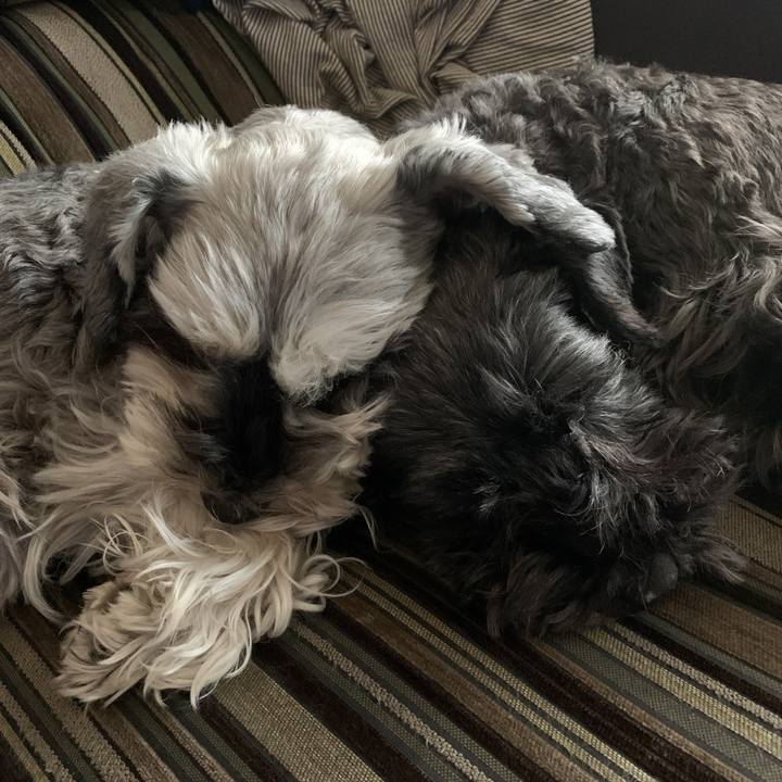 8a295909 3ad0 47e3 bfbe 9d5ce67ed02b 1587524804650