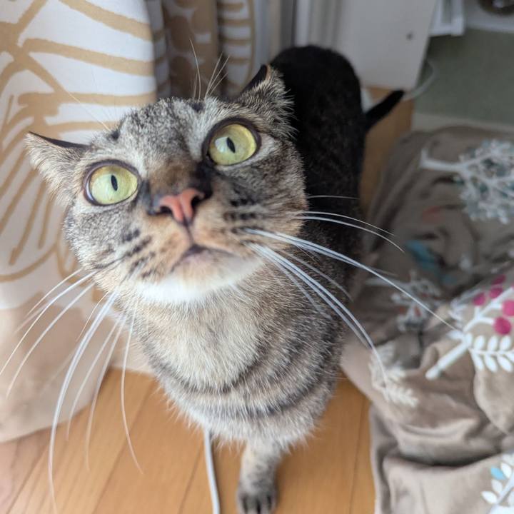 8a295cc1 dbb4 481d 8511 e6ae9bbfc068 1740457453146