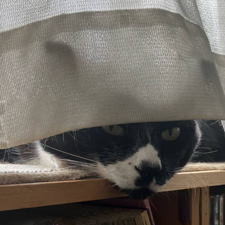 8a29d2f2 9b9e 4a90 b36d 003cc3212b46 1701747458943