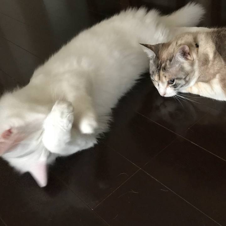 8a29f64f cc00 4d16 bc10 42abfe2b0cf2 1523358388508