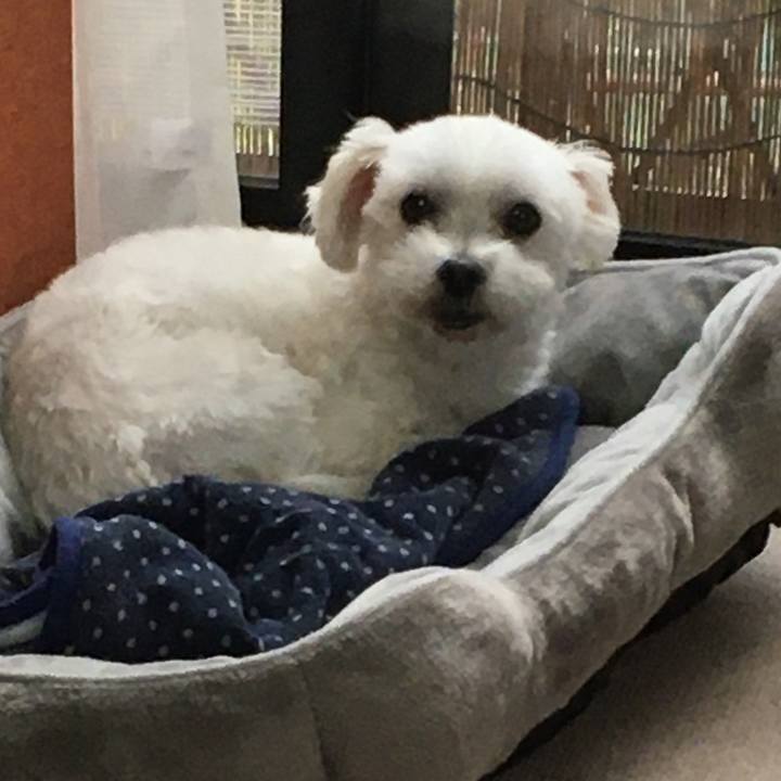 8a2a2add c69f 4c52 9b1b 188b4cc4d888 1602911263775