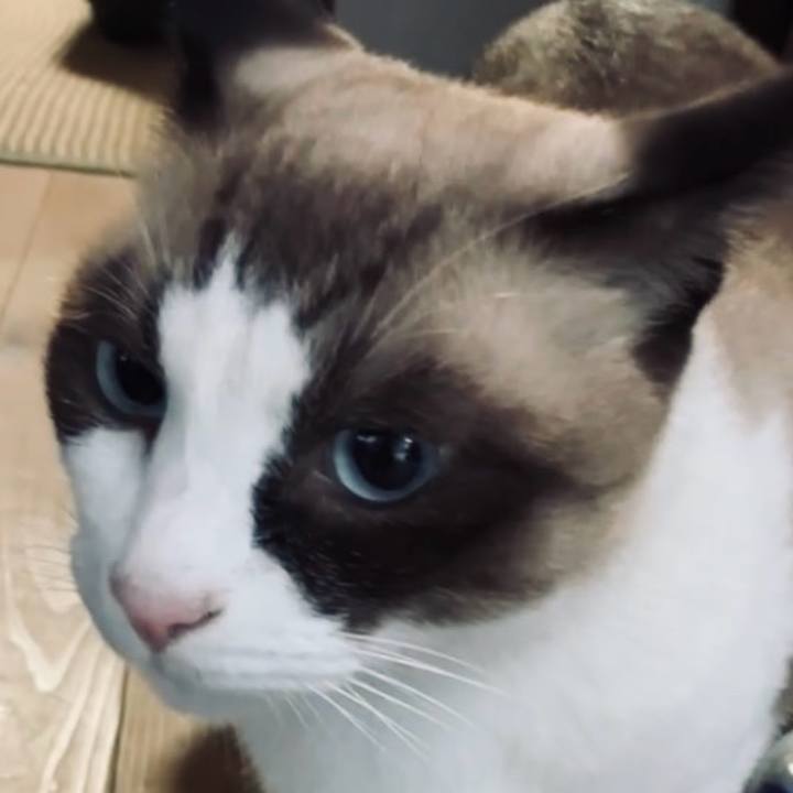 8a2a8192 6a4a 4401 859f 9e64751bee1a 1729566252183