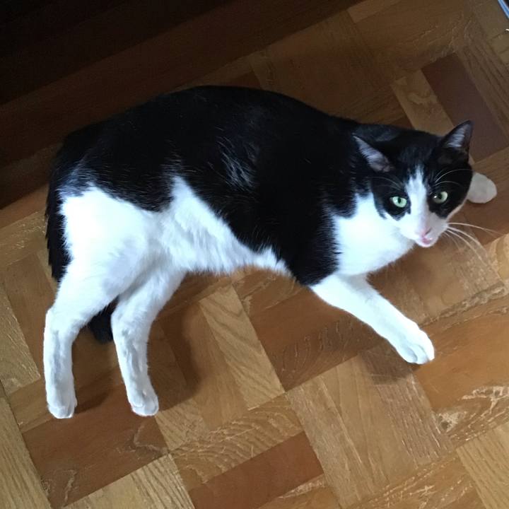 8a2afbea 492f 452f bde0 ffd6c9674f02 1724141997842