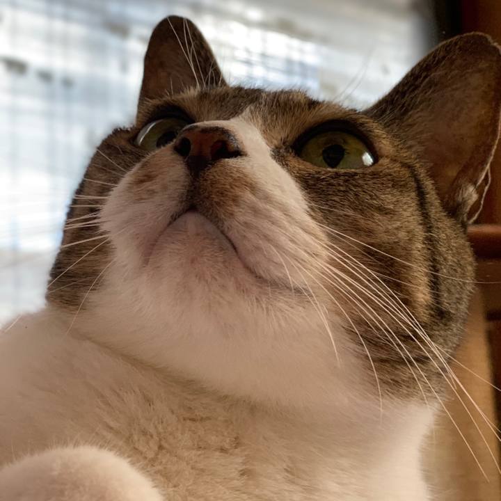 8a2b06f0 cfac 4d5f 9909 9d5af59d2d4b 1541209089507