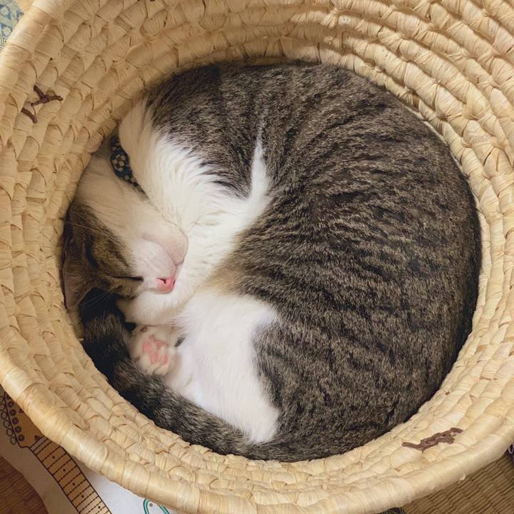 8a2b5c36 a711 4479 bab3 d35ce6142b43 1563370235600