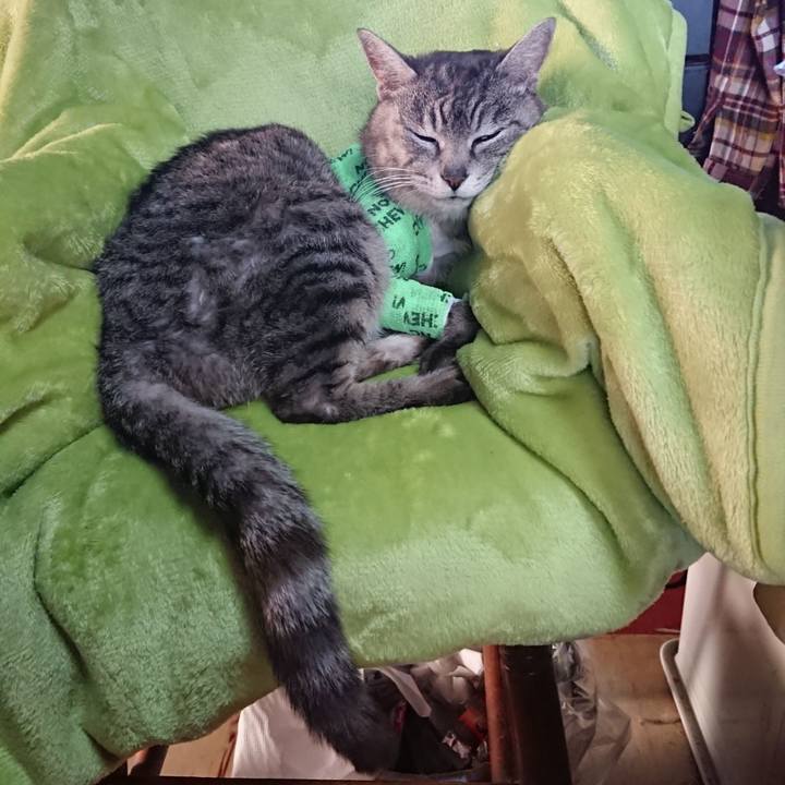 8a2b7bb6 be4b 4f77 9b91 2c9d344b8762 1587073816328