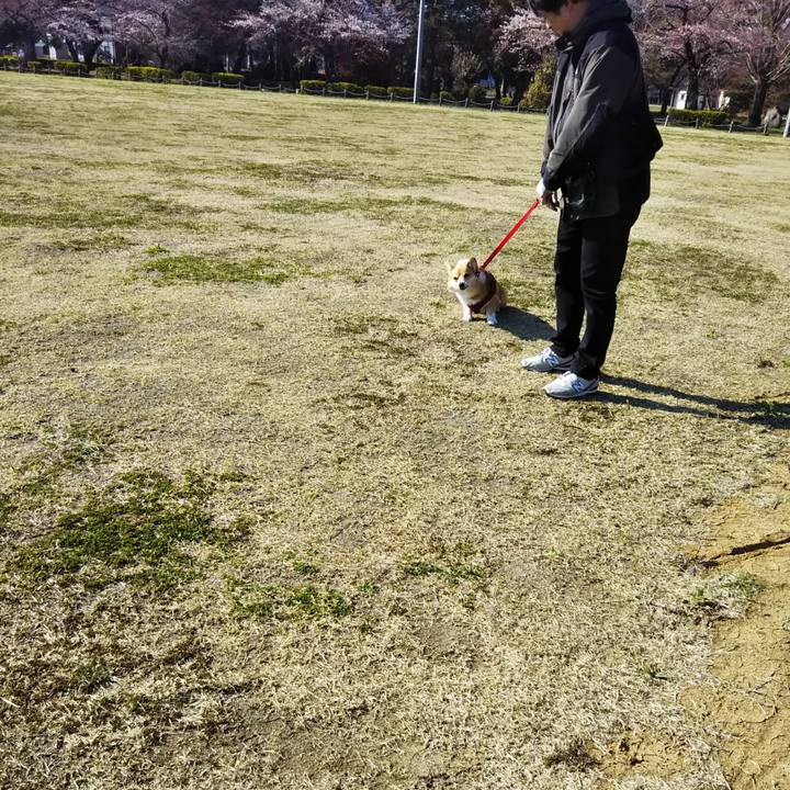 8a2bba2b 2a3b 4b82 9213 e74c062fd8d5 1554595546915