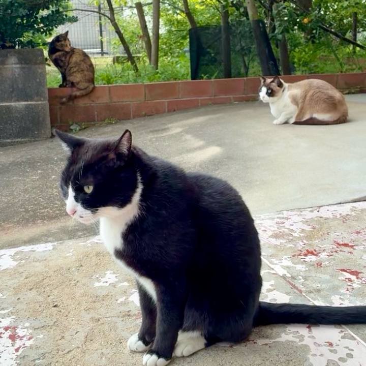 8a2bbe30 5c32 4fa2 8f76 2cc0222d8401 1744596415789