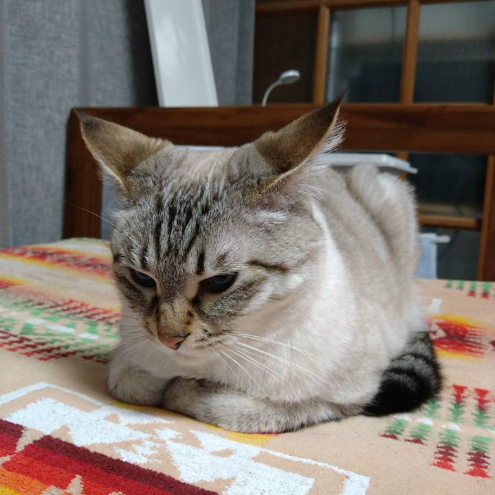 8a2bec85 e101 418d 8aef 5ae5f8949f1a 1717325950352