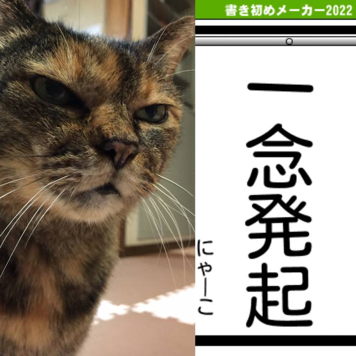 8a2bfcc3 e528 4beb 9938 aa5f189adeea 1641271460637