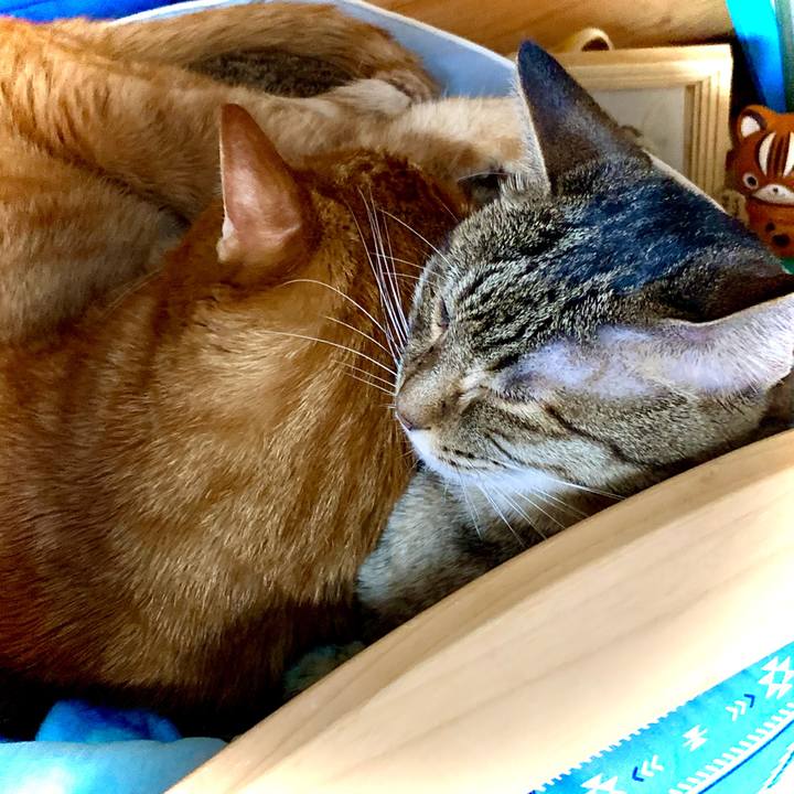 8a2c44c9 2c08 4de5 ba3c 6246d9692202 1620700877231