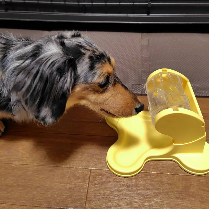 8a2c88d8 678d 4778 b2b4 531d86b3facc 1760095173451