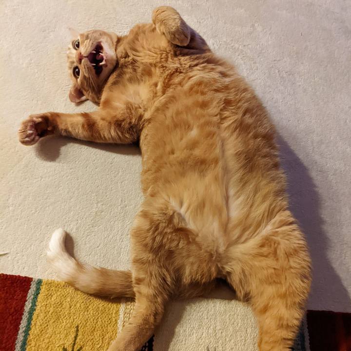 8a2ca332 8597 4020 8dbd 1d850d63958f 1661683688732