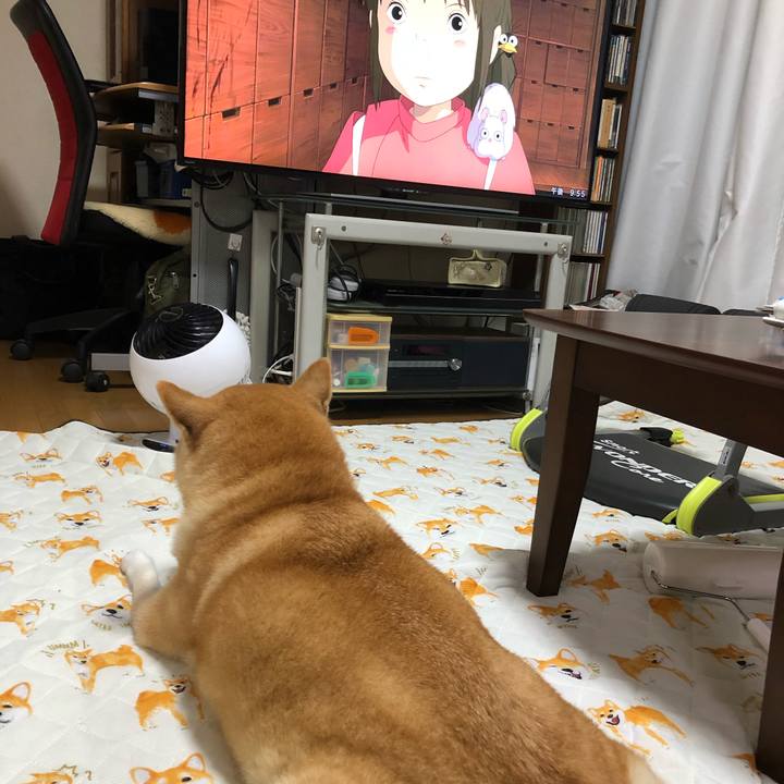 8a2ceb9f ad75 4ae2 96b0 27c4e1736bc3 1565962236211