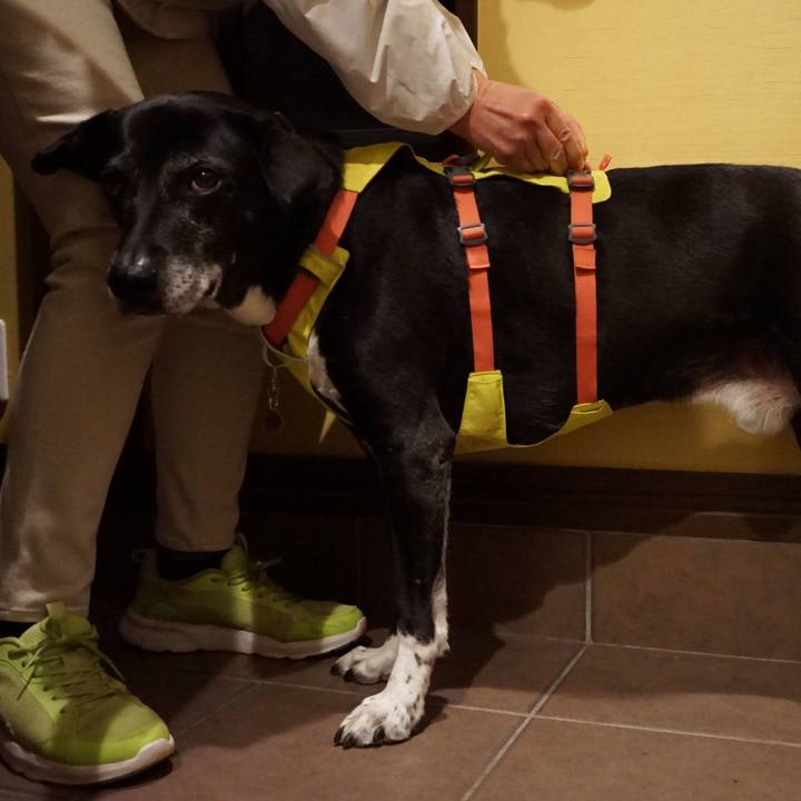 8a2d0082 49d0 4233 ac9e 395d64729c31 1771844551462