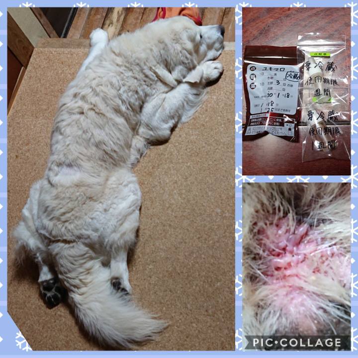 8a2d0c40 d03c 4792 9ac0 1ffe017ae51e 1579353219602