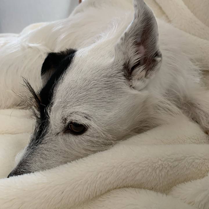 8a2d1b35 0000 49c5 b585 37581da74808 1731902376601