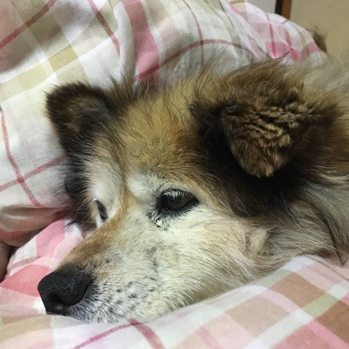 8a2dfae5 c013 4c77 b509 6edc56d2007d 1583018706969