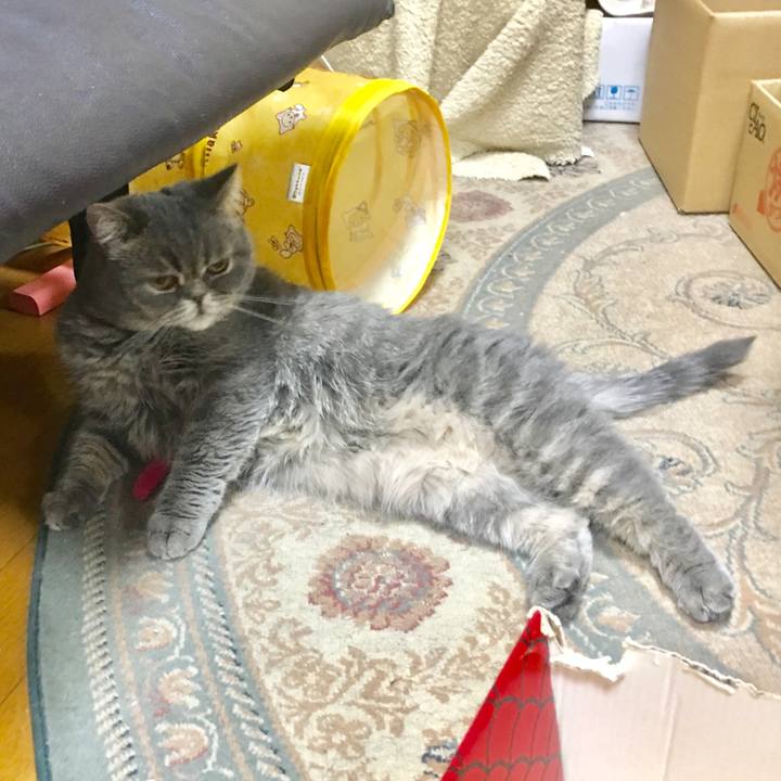 8a2e0152 0d5b 40b5 96ed 8d5a1c9c0545 1520096782166