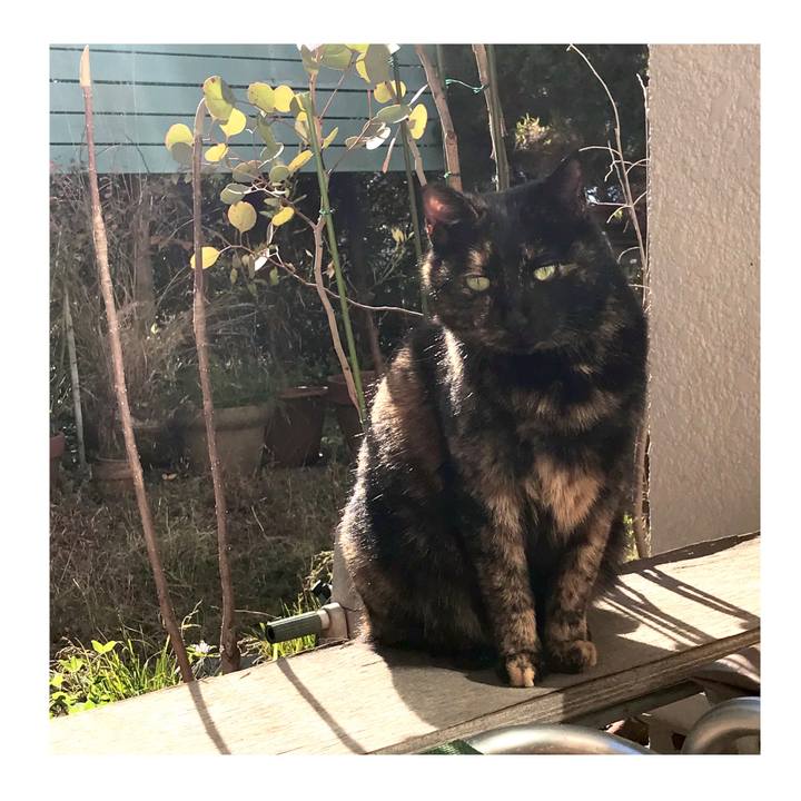 8a2e0752 224a 40fb 80f8 35935c6c11b9 1578365472222