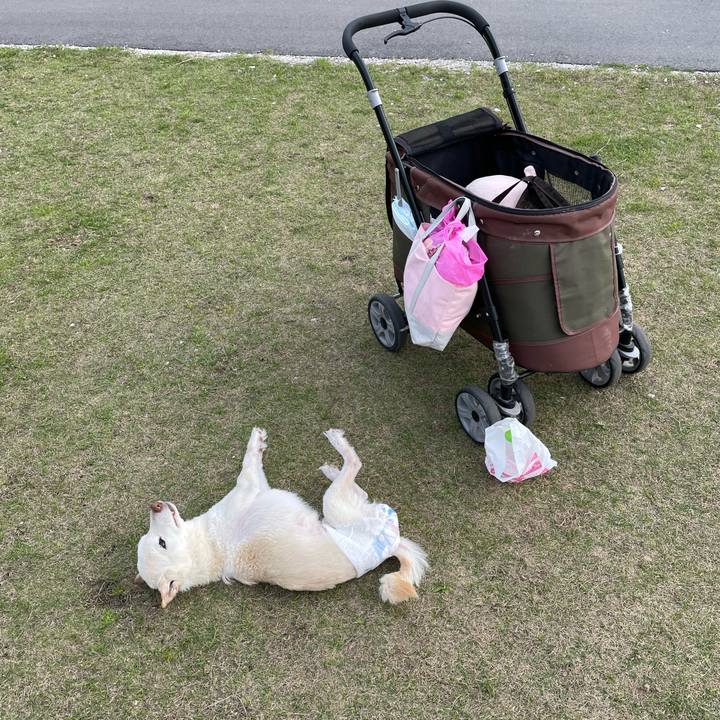 8a2e2874 30ff 434c b558 13508d661566 1680410199903